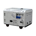 10KVA gasolina Gerador Set OHV motor 220V preço barato